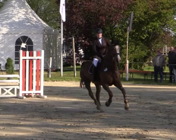 Greven Bockholt 2015