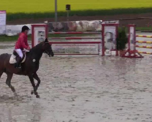 Reitturnier Xanten - Moermter 2015