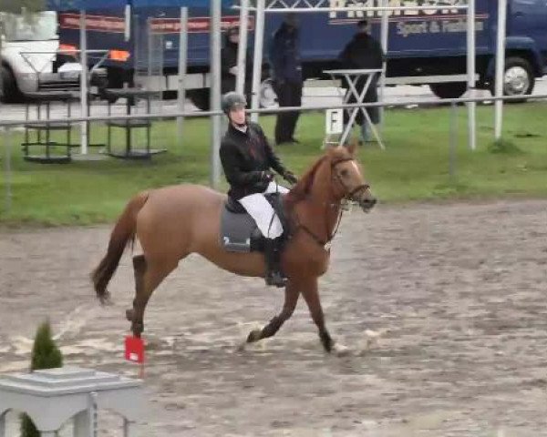 Leutkirch-Diepoldshofen 2015