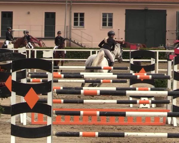 Rideturnering Neustadt/Dosse 2026