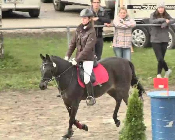 Leutkirch-Diepoldshofen 2015