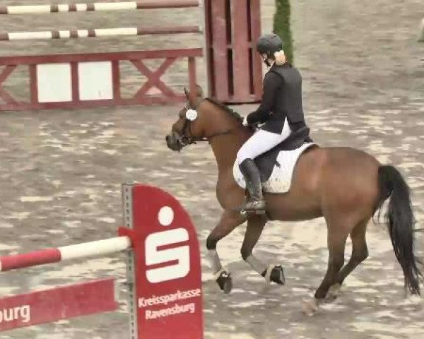 Leutkirch-Diepoldshofen 2015