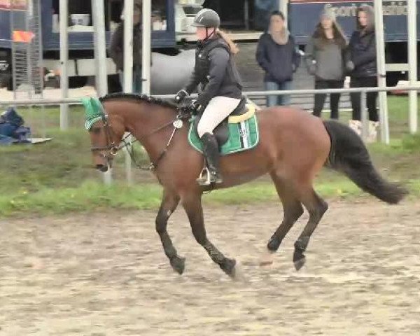 Leutkirch-Diepoldshofen 2015