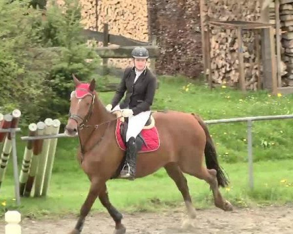 Leutkirch-Diepoldshofen 2015