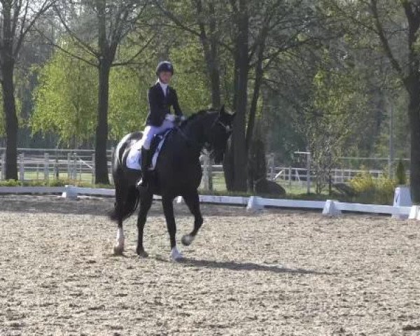 Greven Bockholt 2015