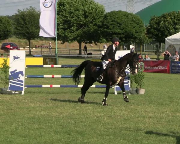 Concorso ippico Dersekow 2026