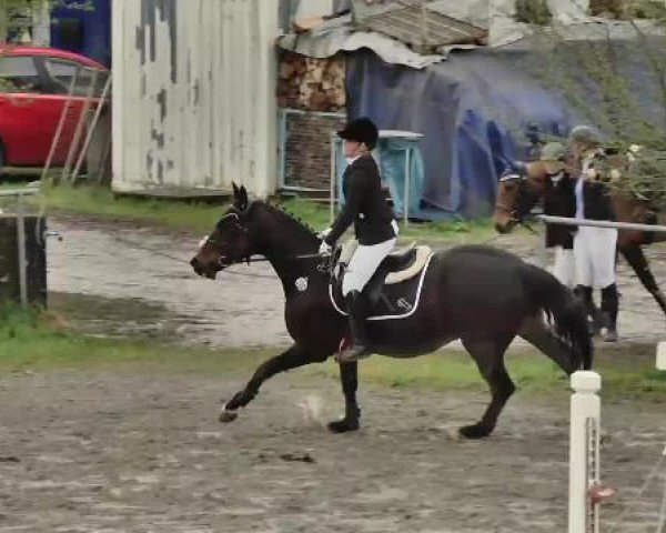 Leutkirch-Diepoldshofen 2015