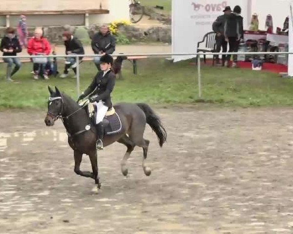Leutkirch-Diepoldshofen 2015