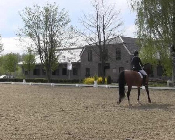 Greven Bockholt 2015