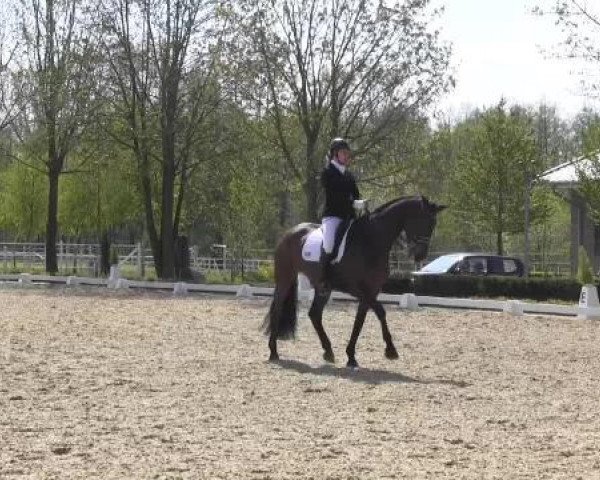 Greven Bockholt 2015