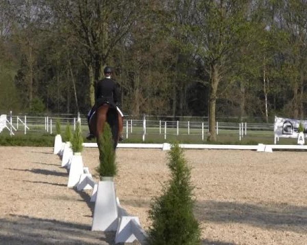 Greven Bockholt 2015