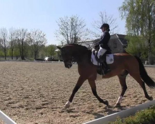 Greven Bockholt 2015