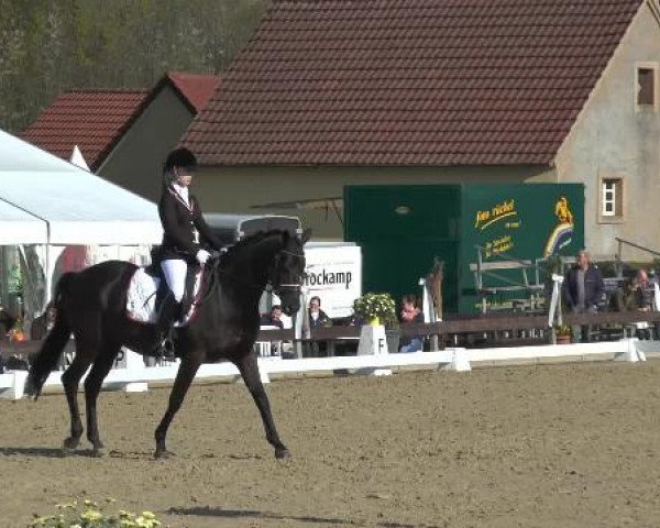 3. Dressurmeeting Georgsmarienhütte