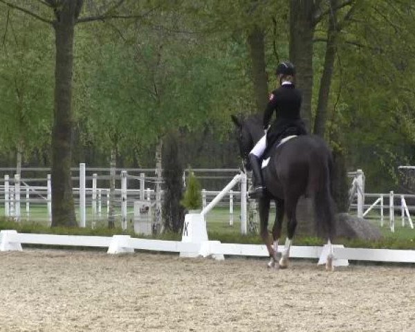 Greven Bockholt 2015
