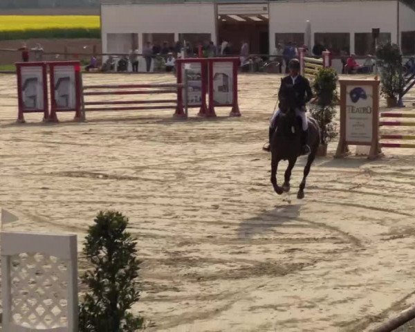 Reitturnier Xanten - Moermter 2015