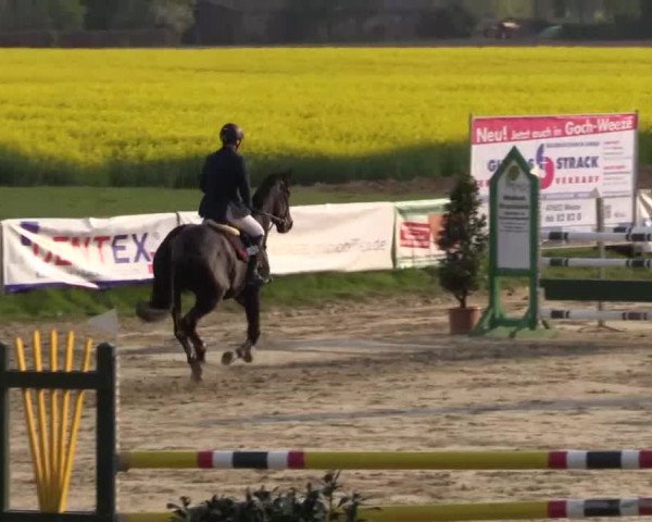 Reitturnier Xanten - Moermter 2015