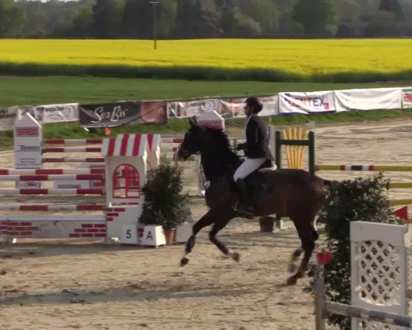 Reitturnier Xanten - Moermter 2015