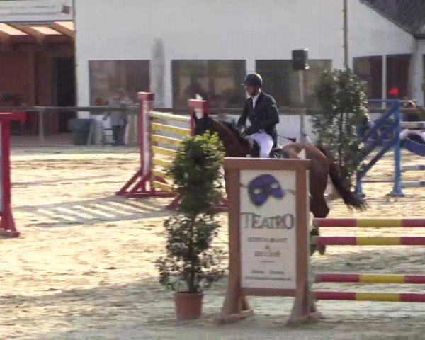Reitturnier Xanten - Moermter 2015