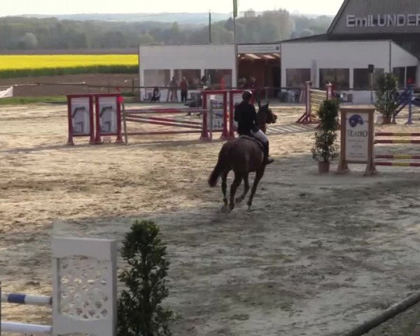 Reitturnier Xanten - Moermter 2015