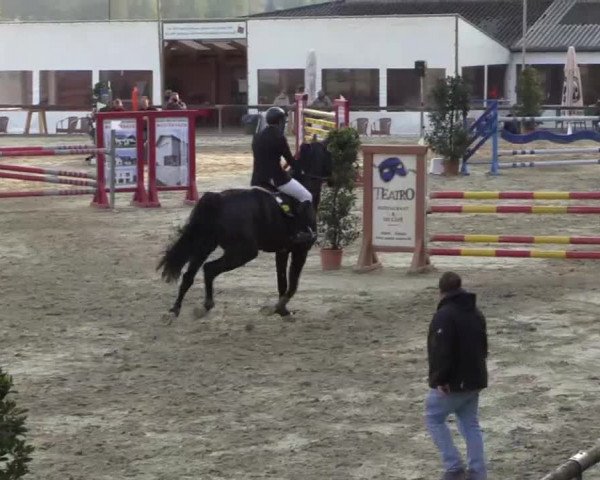 Reitturnier Xanten - Moermter 2015