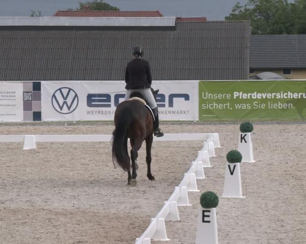 Zawody jeździeckie Seewalchen 2026