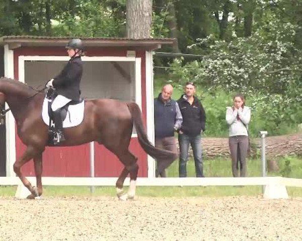 2. Festival des jungen Dressurpferdes Wilferdingen 2015