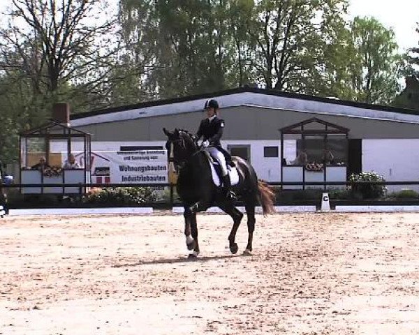 Lübecker Reitertage 2015
