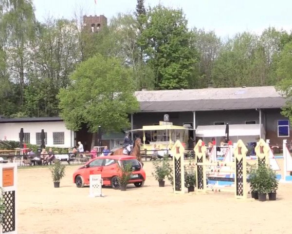 Dressur- und Springturnier Halver 2015