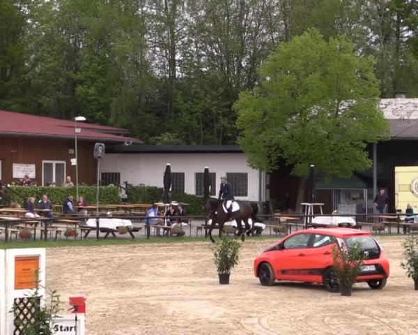 Dressur- und Springturnier Halver 2015