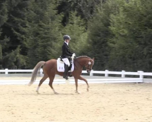 Dressur- und Springturnier Halver 2015