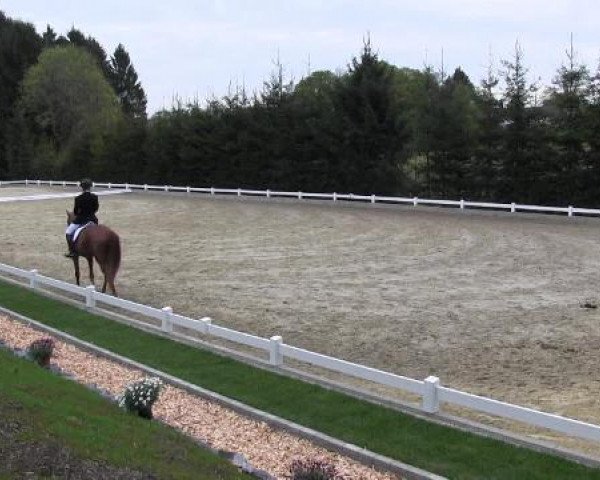 Dressur- und Springturnier Halver 2015