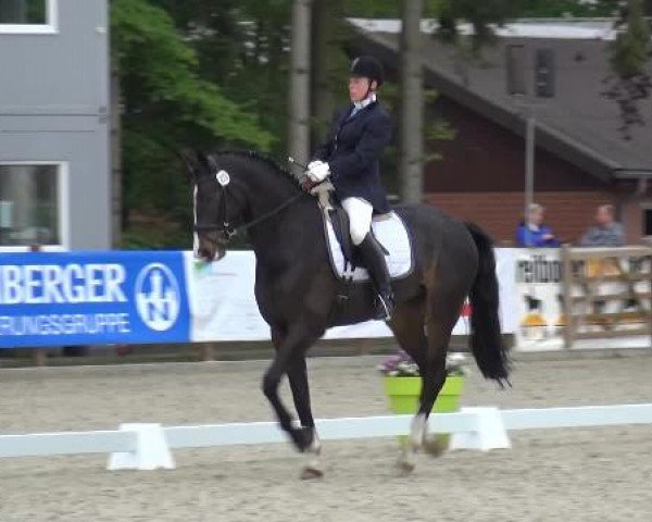 Holtkämper Dressurtage 2015