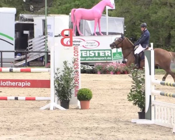 Dressur- und Springturnier Halver 2015