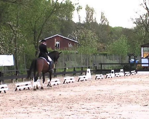 Lübecker Reitertage 2015