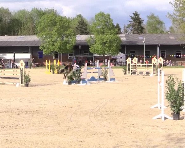 Dressur- und Springturnier Halver 2015