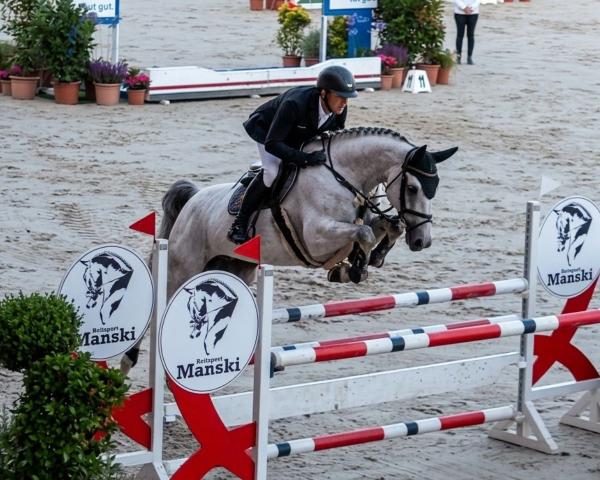 Reitturnier Redefin Springen 2026