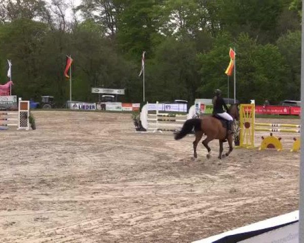 Dressur- und Springturnier Halver 2015