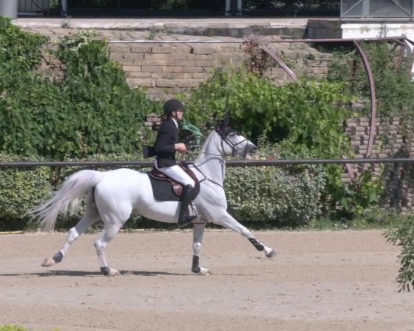 FEI Reitturnier San Giovanni in Marignano 2026