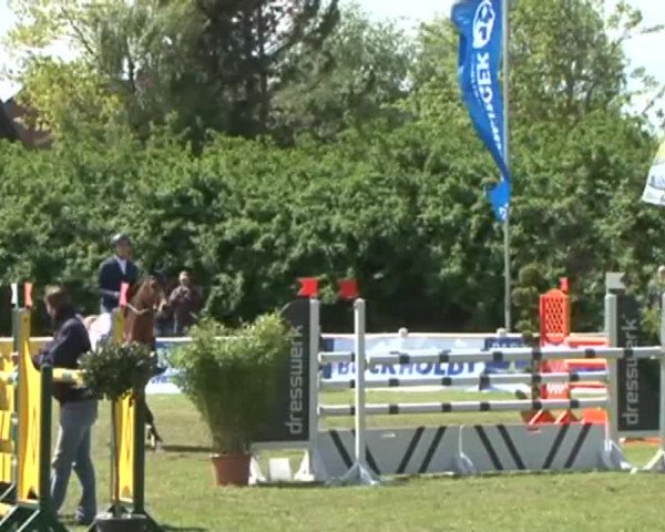 Lübecker Reitertage 2015