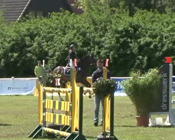 Lübecker Reitertage 2015