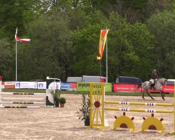 Dressur- und Springturnier Halver 2015