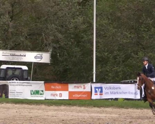 Dressur- und Springturnier Halver 2015