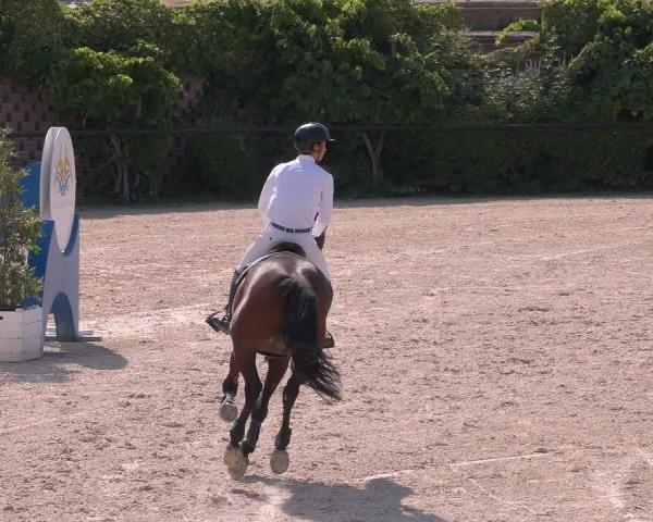FEI Concorso San Giovanni in Marignano 2026