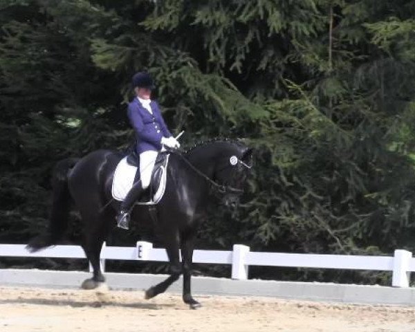 Dressur- und Springturnier Halver 2015