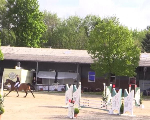 Dressur- und Springturnier Halver 2015