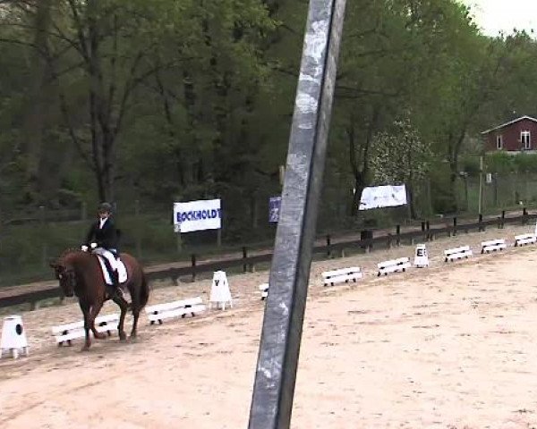 Lübecker Reitertage 2015