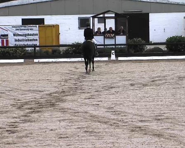 Lübecker Reitertage 2015