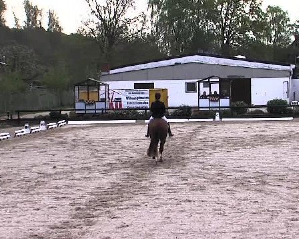 Lübecker Reitertage 2015