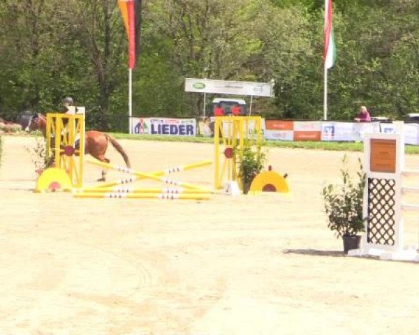 Dressur- und Springturnier Halver 2015