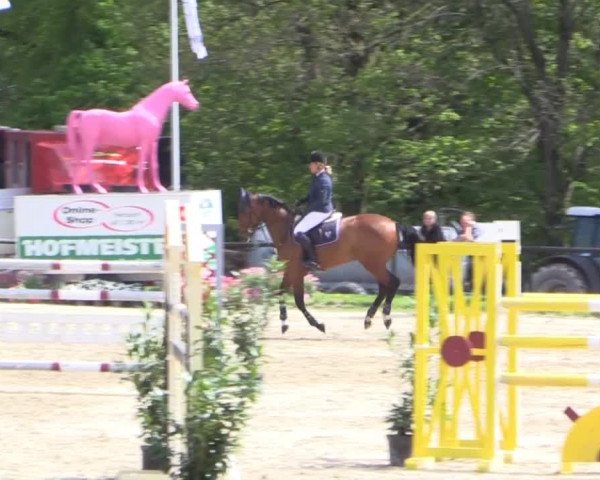Dressur- und Springturnier Halver 2015